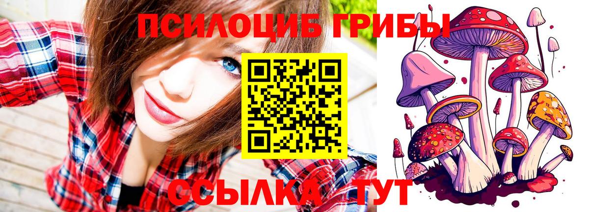 Екатеринбург  где купить наркоту  Вход с VPN  Галлюциногенные грибы мицелий 
